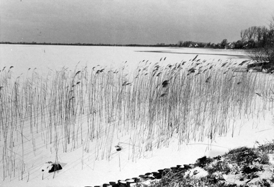 848433 Gezicht over de dichtgevroren Vinkeveense Plassen.